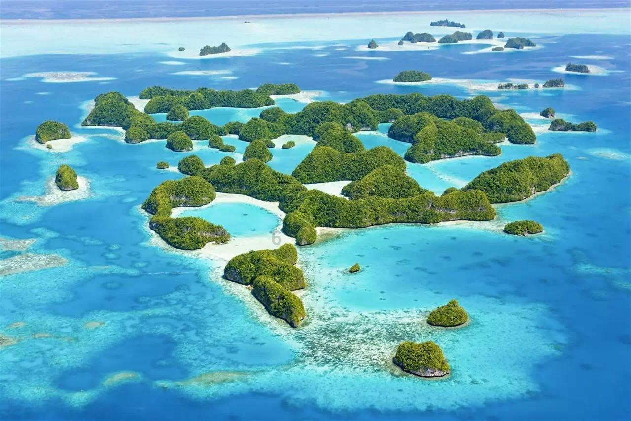 探索世界奇妙之处——秋天多吃板栗,教你快速剥皮窍门,不放糖不放油,原滋原味真好吃蜗牛问答平台